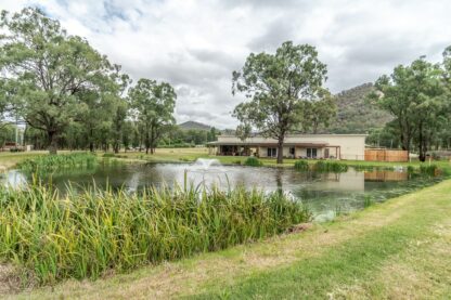Cellar Door Wine Tasting Session
